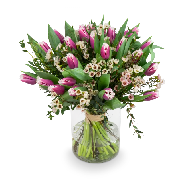 Bouquet of premium tulips